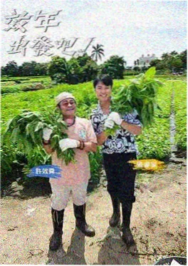 音乐综艺我们的乐队海报